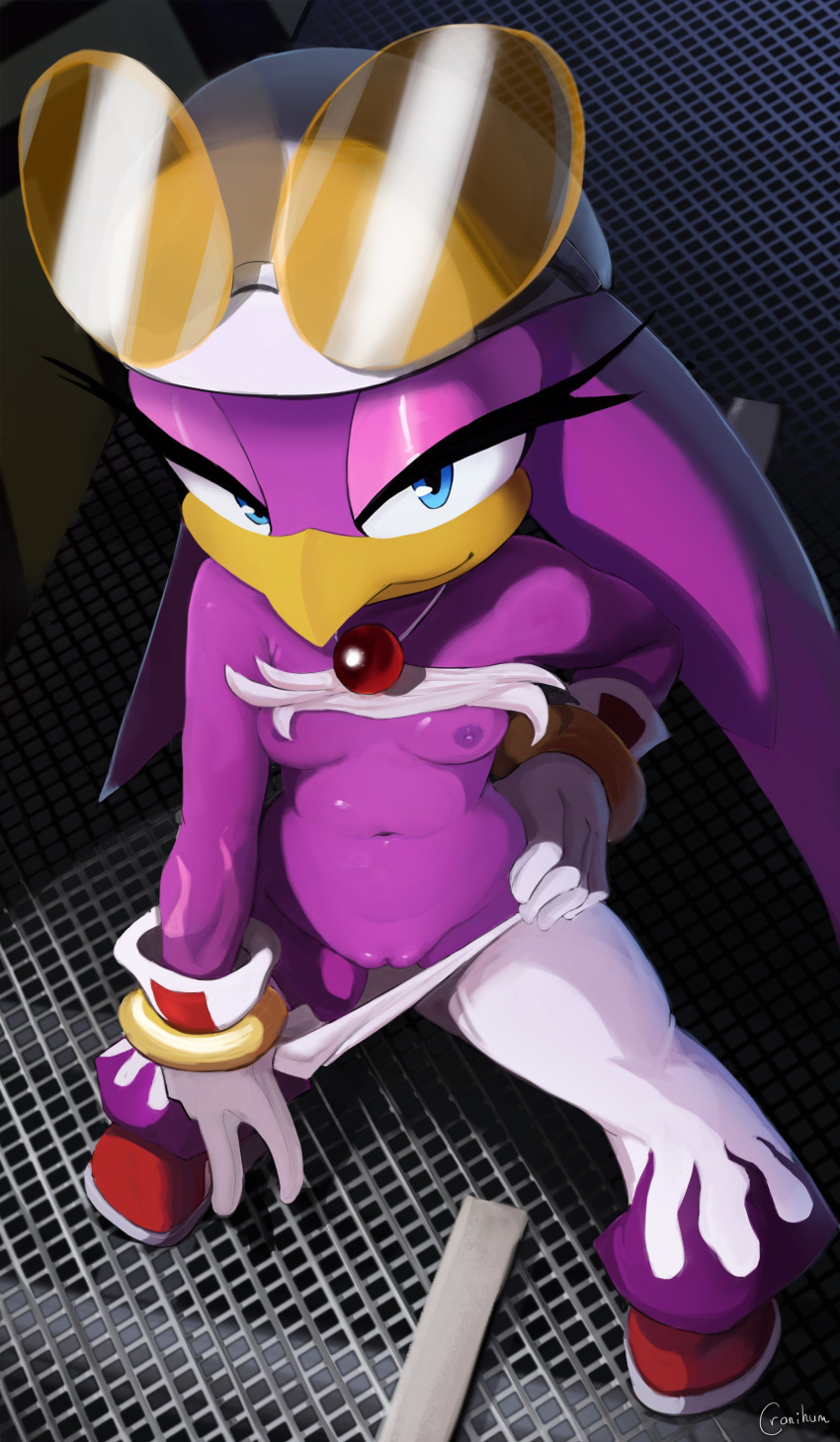 1girls anthro avian bird breasts cranihum female female_only flashing hand_on_hip looking_at_viewer nipples no_bra no_panties pants purple_skin pussy sega small_breasts solo sonic_(series) sonic_riders sonic_the_hedgehog_(series) sunglasses sunglasses_on_head swallow_(bird) thick_thighs topless wave_the_swallow wide_hips