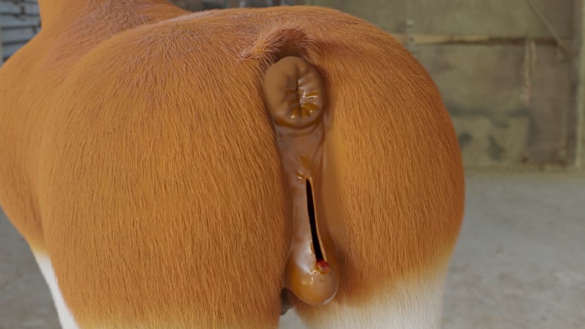 1girls animal_genitalia animal_pussy anus bodily_fluids clitoral_winking clitoris equid equine equine_genitalia equine_pussy female female_only feral furry genitals hair hi_res horse mammal ponut pussy rear_view solo solo_focus tyedie