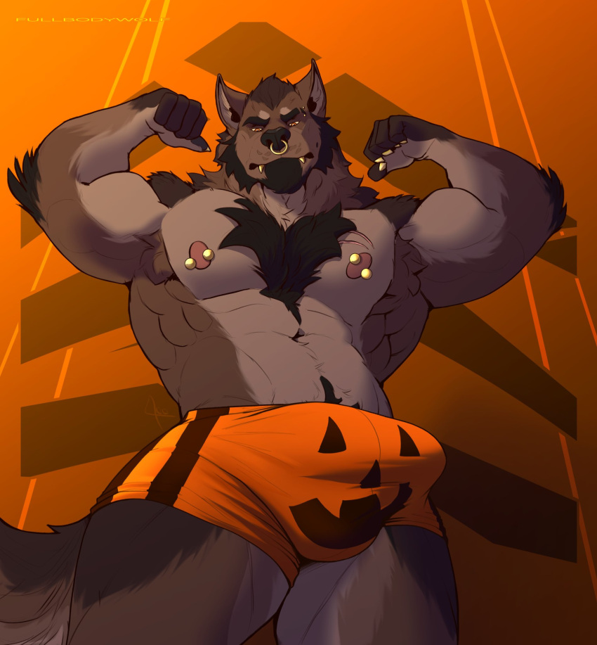 2023 anthro big_bulge black_body black_fur bulge canid canine chest_tuft clothing facial_hair facial_piercing fullbodywolf fur goatee grey_body grey_fur hi_res male mammal muscular muscular_anthro muscular_male navel nipples nose_piercing orange_background piercing pink_nipples simple_background solo teeth tuft underwear were werecanid werecanine werewolf