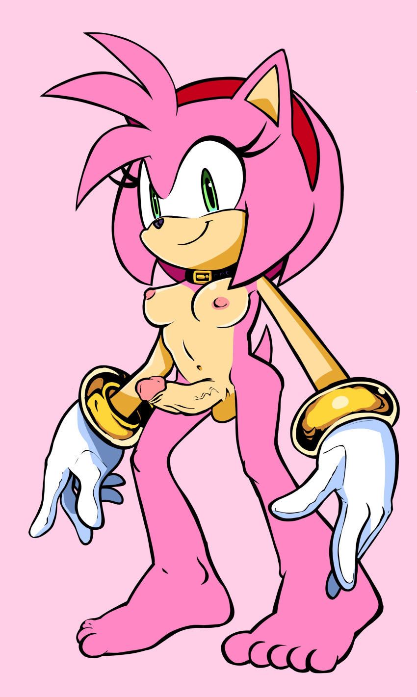 1girls amy_rose anthro balls bracelet choker dickgirl erection eulipotyphlan futanari hair hedgehog hi_res humanoid jewelry mammal penis pink_hair randomguy999 sega solo solo_focus sonic_(series) sonic_the_hedgehog_(series)