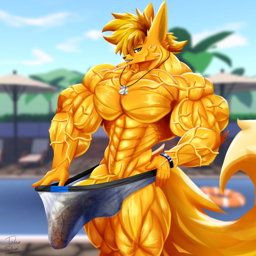 abs anthro beach beach_chair biceps big_muscles big_penis blonde_hair blurred_background bottomwear bracelet canid canine clothed clothing dog_tags erection erection_under_clothing fennec fox fur genitals hair hi_res huge_biceps huge_muscles huge_triceps jewelry long_tail looking_at_viewer male male_only mammal mostly_nude muscular muscular_anthro muscular_male muscular_thighs necklace obliques palm_tree parasol partially_clothed penis plant purple_eyes seaside sky solo standing taiko-sihori tail tenting thick_thighs topless tree tugging_clothing vein veiny_arms veiny_muscles veiny_penis yellow_body yellow_fur