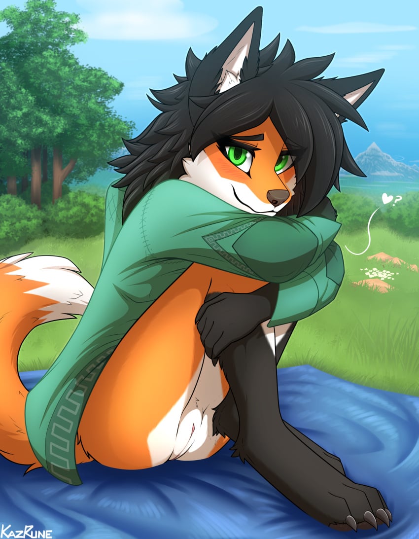 absurd_res anthro bedding black_body black_fur black_hair blanket blush bottomless canid canine clothed clothing cloud feet female field flower forest fox fur genitals grass green_eyes hair hand_on_legs heart hi_res hoodie hugging_legs kazrune legs_together looking_at_viewer mammal mountain nails orange_body orange_fur outside partially_clothed paws plant presenting presenting_pussy pussy question_mark rock shrub sitting sky smile solo tail topwear tree valkyrie_(kazrune) white_body white_fur