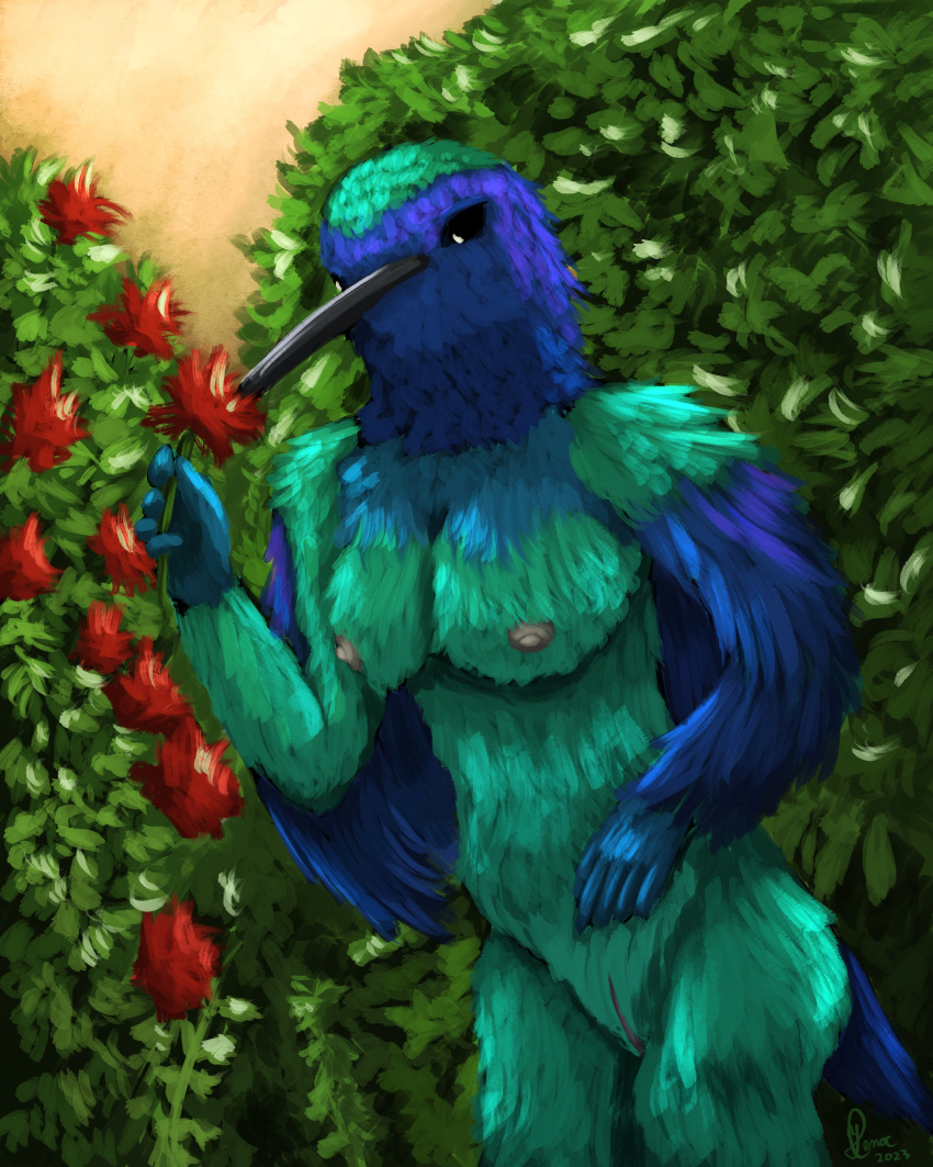 4:5 absurd_res animal_genitalia anthro avian bird birdtember blue_body blue_feathers breasts cloaca feathers female flower garden genitals green_body green_feathers hi_res hummingbird iridescent_feathers leaf long_beak nipples plant solo standing swallow_tail_hummingbird yenocwolf