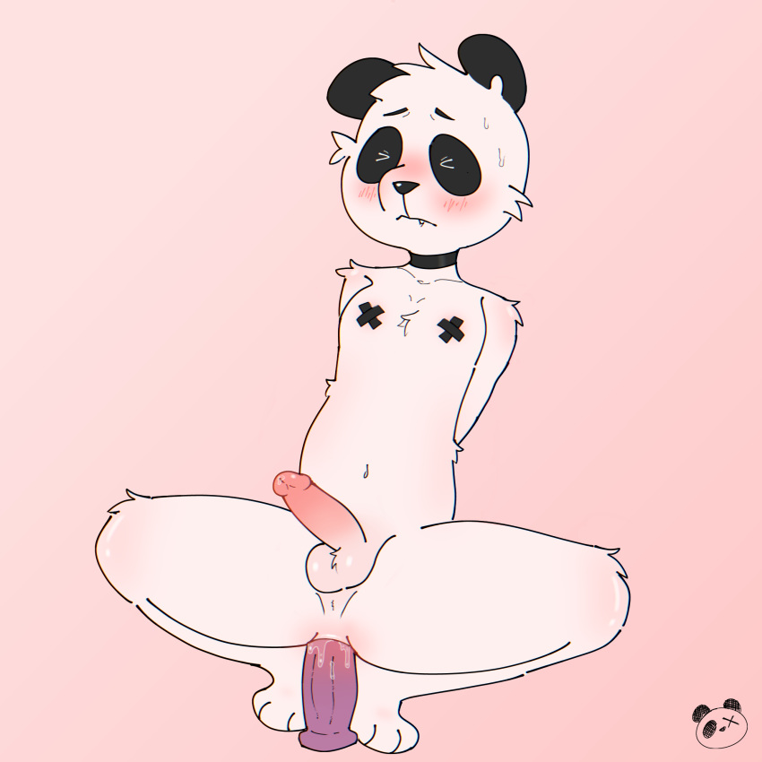 anal anal_masturbation anal_sex anthro anus balls bear blush bodily_fluids body_blush choker closed_eyes dildo dildo_in_ass dildo_insertion dildo_sitting elponda erection fur genital_fluids genitals giant_panda hands_behind_back hi_res humanoid_genitalia humanoid_penis jewelry lube male mammal masturbation necklace object_in_ass paws penetration penis perineum precum sex_toy sex_toy_in_ass sex_toy_insertion solo struggling_to_fit sweat tagme toying_self white_body white_fur x_nipples