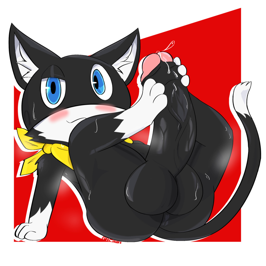 adrichibi anthro atlus autofootjob balls bandana big_balls big_penis big_testicles black_balls black_body black_fur black_penis blue_eyes blush bodily_fluids dipstick_limbs dipstick_tail domestic_cat felid feline felis foot_fetish foot_play foreskin fur genital_fluids genitals hi_res huge_cock hyper hyper_genitalia hyper_penis inner_ear_fluff kerchief male mammal markings masturbation megami_tensei megami_tensei_persona morgana_(persona) musk penis precum sega smug solo sweat tail tail_markings testicles thick_thighs tuft vein veiny_penis white_body white_fur