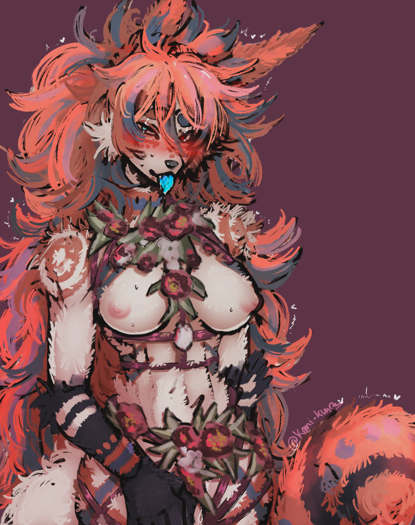 <3_eyes absurd_res akaao(oc) anthro big_breasts blush bodily_fluids breasts canid canine clothing female fluffy fluffy_hair fluffy_tail fox genital_fluids hair heart heterochromia hi_res keni_kun_sama lingerie mammal pussy_juice shaking solo tail tongue tongue_out