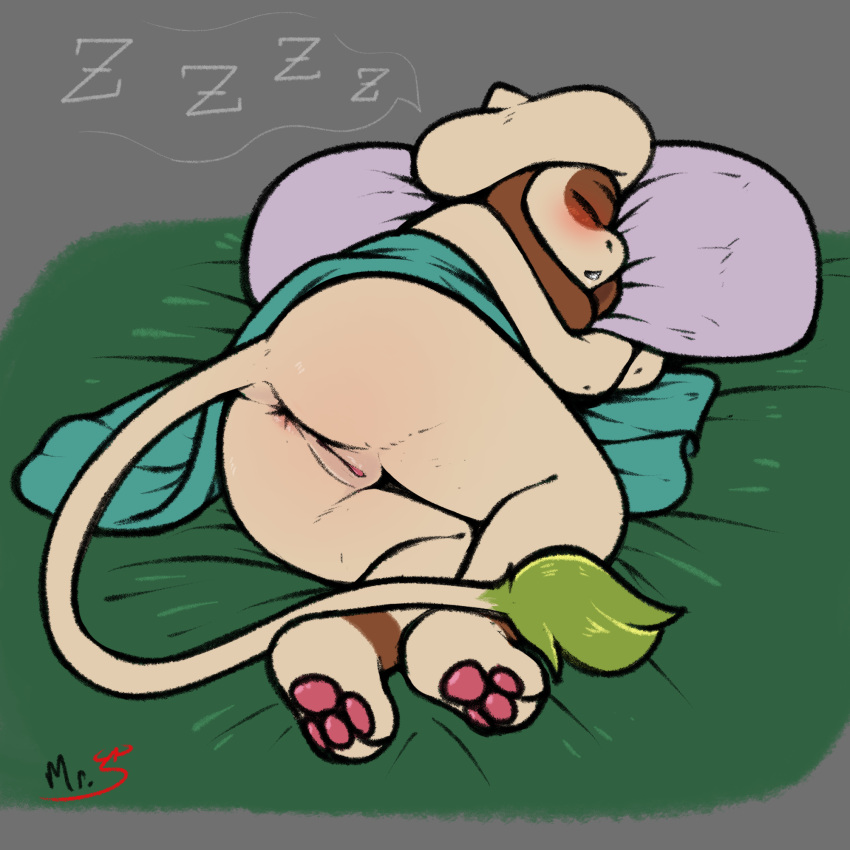 anthro blush eyewear female generation_2_pokemon genitals glasses hi_res mimi_(mr.smile) nintendo pokemon pokemon_(species) pussy sleeping smeargle