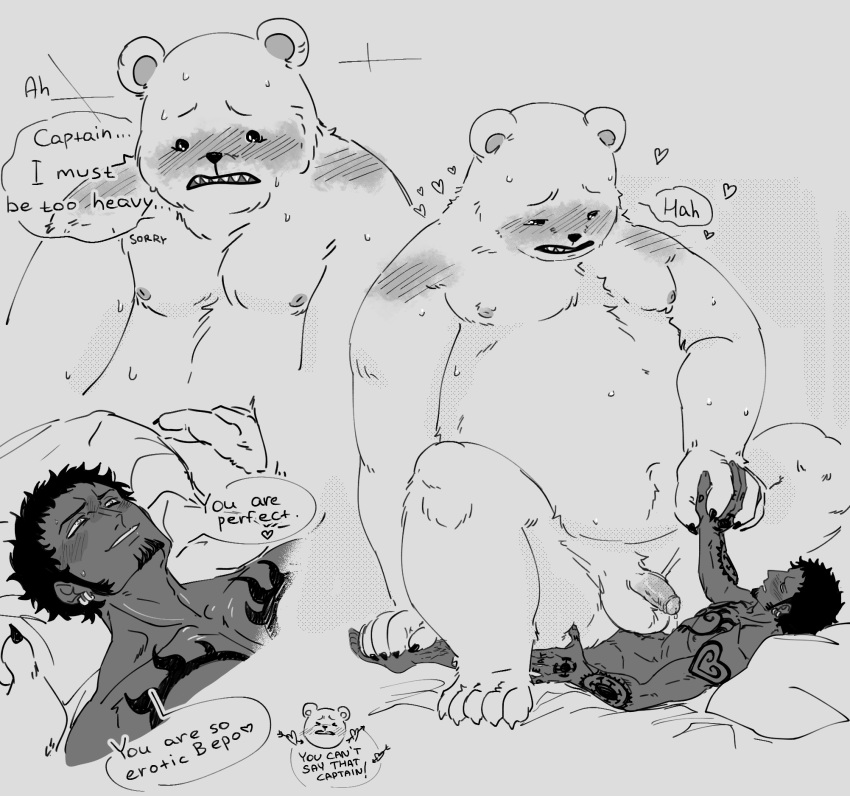 2023 anthro balls bear belly bepo big_belly blush dialogue duo english_text genitals hand_holding hi_res human human_on_anthro interspecies lying male male/male male_only mammal minkmen_(one_piece) moobs nekokat42 nipples one_piece penis polar_bear sex tattoo text trafalgar_law ursine yaoi