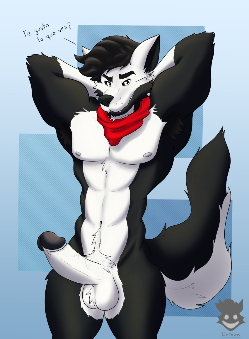 absurd_res anthro armpit_hair body_hair deimos_wolf deimos_wolf_(artist) dirty_talk erection furry hi_res humanoid male male/male muscular muscular_male neckerchief nipples pecs solo spanish_text