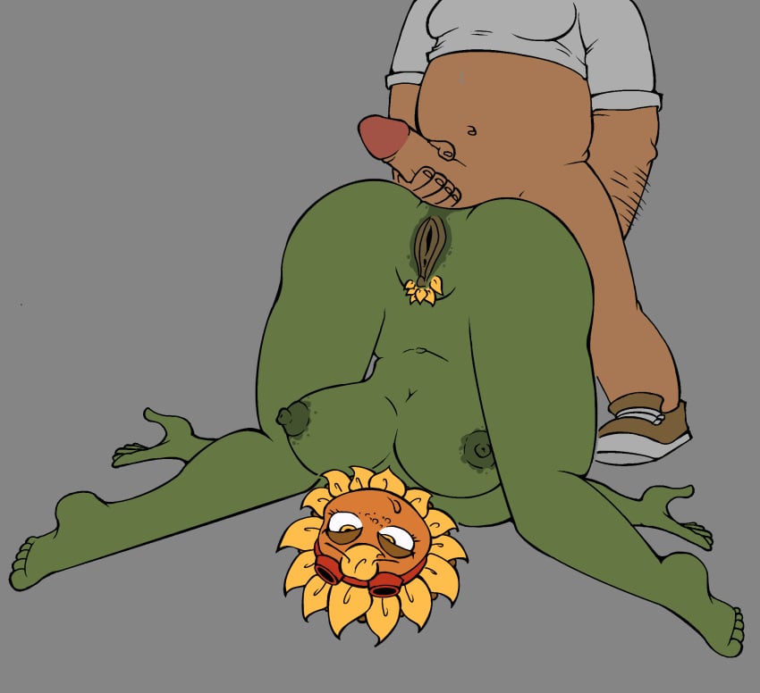big_breasts clothing crazy_dave_(pvz) edit flora_fauna flower green_skin hairy_arms hairy_pussy human_on_plantie nipples nude penis plant_girl plant_humanoid plantie plants_vs_zombies plants_vs_zombies:_heroes popcap_games pussy pvz solar_flare_(pvz) sunflower sunflower_(pvz) tagme vagina white_skin