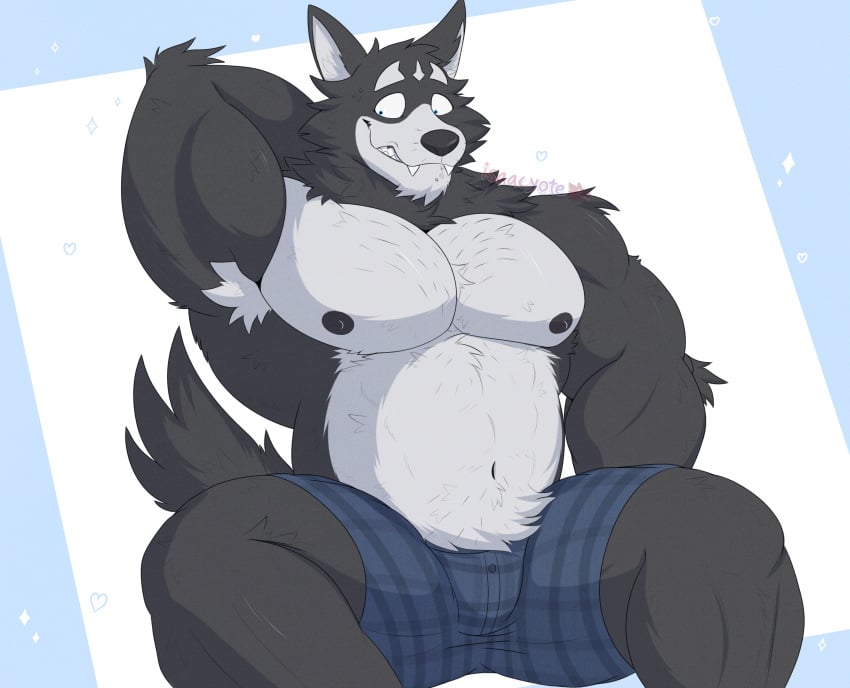 1boy 2023 abs abstract_background absurd_res adastra adastra_(series) amicus_(adastra) anthro areola armpit_tuft barazoku biceps big_pecs black_body black_ears black_fur black_nose black_tail blue_background blue_eyes boxers_(clothing) boxers_only canid canine canis clothed clothing detailed echo_project eyebrows fangs fluffy fluffy_tail fur hand_behind_head happy heart hi_res isaacyote_(artist) long_tail looking_away looking_down male male_only mammal manly multicolored_body multicolored_ears multicolored_fur muscular navel nervous nervous_smile nipples o_o overbite overbite_fang pecs portrait pupils raised_arm raised_eyebrows shadow sharp_teeth simple_background sitting small_pupils smile solo sparkles spread_legs spreading tail teeth thick_thighs toony topless triceps underwear underwear_only wavy_mouth white_background white_body white_ears white_fur wide_eyed wolf