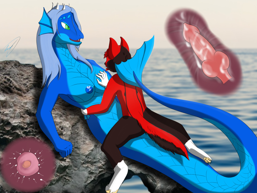 absurd_res animal_humanoid anthro ass big_breasts blue_body blue_scales bodily_fluids breast_grab breasts brown_body brown_fur canid canine canis cum cum_in_pussy cum_inside digital_media_(artwork) dragon dragon_humanoid duo fangs female female_penetrated fin from_front_position fur genital_fluids genitals green_eyes grey_hair hair hand_on_breast hi_res horn humanoid impregnation internal katelyn_(katelyn) long_tail looking_at_another looking_at_partner looking_pleasured lying male male/female male_penetrating male_penetrating_female mammal marine markings missionary_position mohrlex nicky_(nicky) nipples nude on_back open_mouth ovum penetration penis red_body red_fur scales scalie serpentine sex smile sperm_cell tail teeth tongue tongue_out vaginal_penetration vaginal_penetration wolf