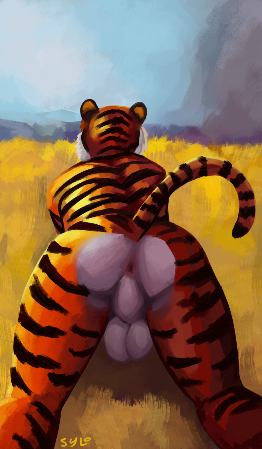 2023 absurd_res anthro anus ass balls digital_media_(artwork) felid fur genitals hi_res male mammal nude orange_body orange_fur outside pantherine presenting presenting_anus presenting_balls presenting_hindquarters rear_view sky solo stripes sylo tail tiger white_body white_fur