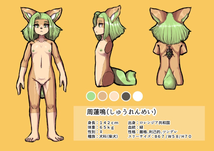 anthro barefoot breasts canid feet female flat_chested front_view genitals green_eyes green_hair green_nipples hair hi_res komenuka_inaho mammal model_sheet nipples nude pussy rear_view renmei_(komenuka_inhaho) small_breasts solo standing