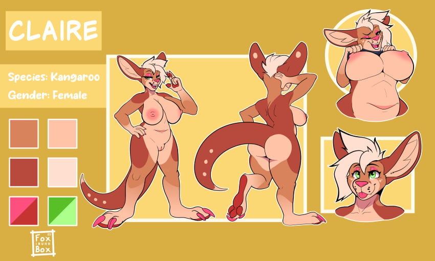 absurd_res anthro butt_pose digital_media_(artwork) female foxinuhhbox fur furry hi_res kangaroo macropod mammal marsupial model_sheet multiple_poses pinup pose pouch_(anatomy) pouch_(disambiguation) sheet_(disambiguation) standing text