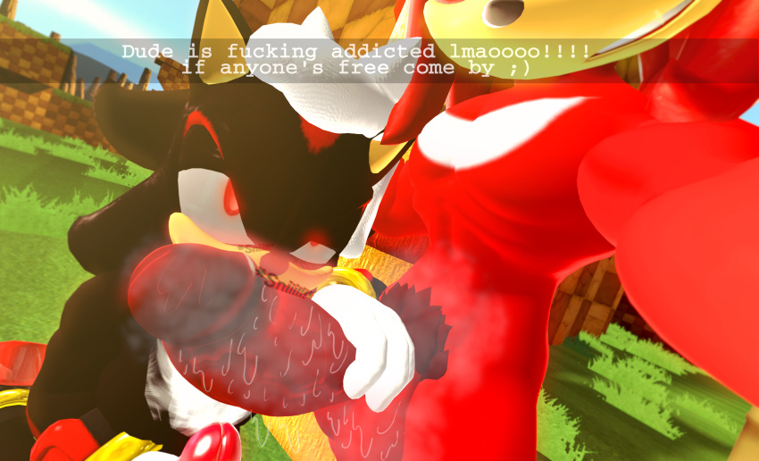 2boys 3d 3d_(artwork) anthro anthro_on_anthro black_body blush echidna eyes_rolling_back furry gay grass green_hill_zone hedgehog holding_camera holding_penis holding_phone horny huffing huge_cock imminent_sex knuckles_the_echidna lewdwithlogan male male/male male_only musk musk_clouds musky_balls musky_cock nude penis pubes public quills red_body red_eyes sfm shadow_the_hedgehog smile smiling smirking snapchat sniffing sniffing_penis sonic_(series) sonic_the_hedgehog_(series) source_filmmaker sweat sweatdrop sweating sweaty_genitalia yaoi