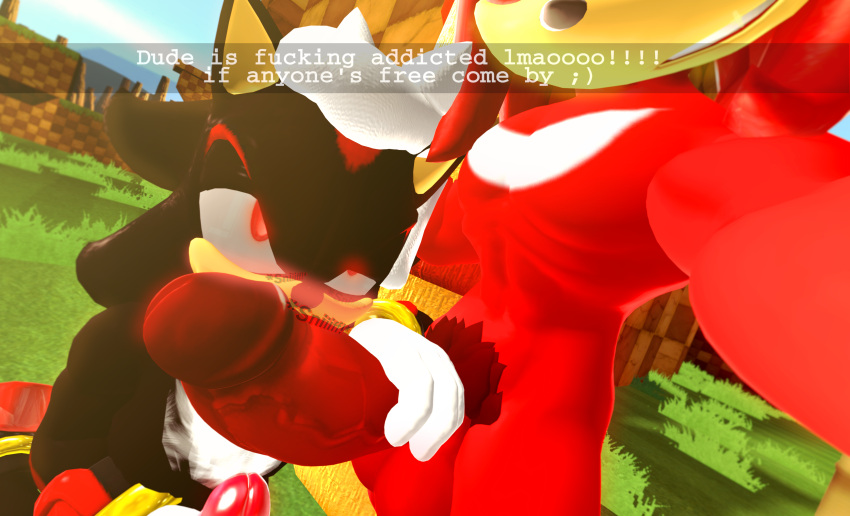 2boys 3d 3d_(artwork) anthro anthro_on_anthro black_body blush echidna eyes_rolling_back furry gay grass green_hill_zone hedgehog holding_camera holding_penis holding_phone horny huffing huge_cock imminent_sex knuckles_the_echidna lewdwithlogan male male/male male_only nude penis pubes public quills red_body red_eyes sfm shadow_the_hedgehog smile smiling smirking snapchat sniffing sniffing_penis sonic_(series) sonic_the_hedgehog_(series) source_filmmaker yaoi