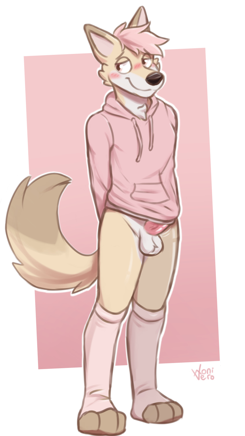 absurd_res anthro balls bedroom_eyes blush bottomwear canid canine clothing digital_media_(artwork) erection fennec fox full-length_portrait fur genitals hair hands_behind_back hi_res hoodie humanoid_genitalia hybrid long_socks male mammal narrowed_eyes naughty_face penis pink_bottomwear pink_clothing pink_hair pink_hoodie pink_topwear portrait pose seductive shy simple_background solo solo_focus tail tan_body tan_fur tan_legs tan_tail teasing topwear wonivero