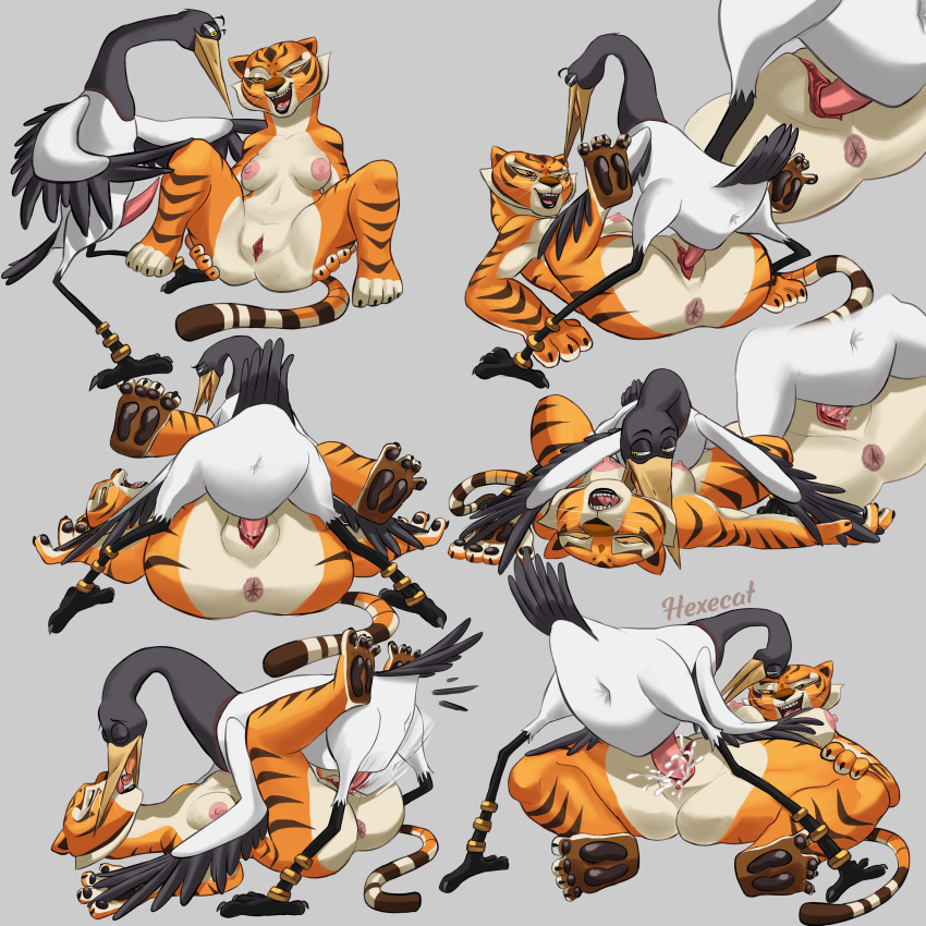 absurd_res anatomically_correct anatomically_correct_genitalia anthro anus ass bodily_fluids butt_grab claws cum cum_inside dreamworks duo feet female feral genital_fluids genitals hand_on_butt hexecat hi_res hindpaw kissing kung_fu_panda male male/female master_crane master_tigress open_mouth paws penetration penis pussy riding_cock spread_legs spreading stripes vaginal_penetration vaginal_penetration wings