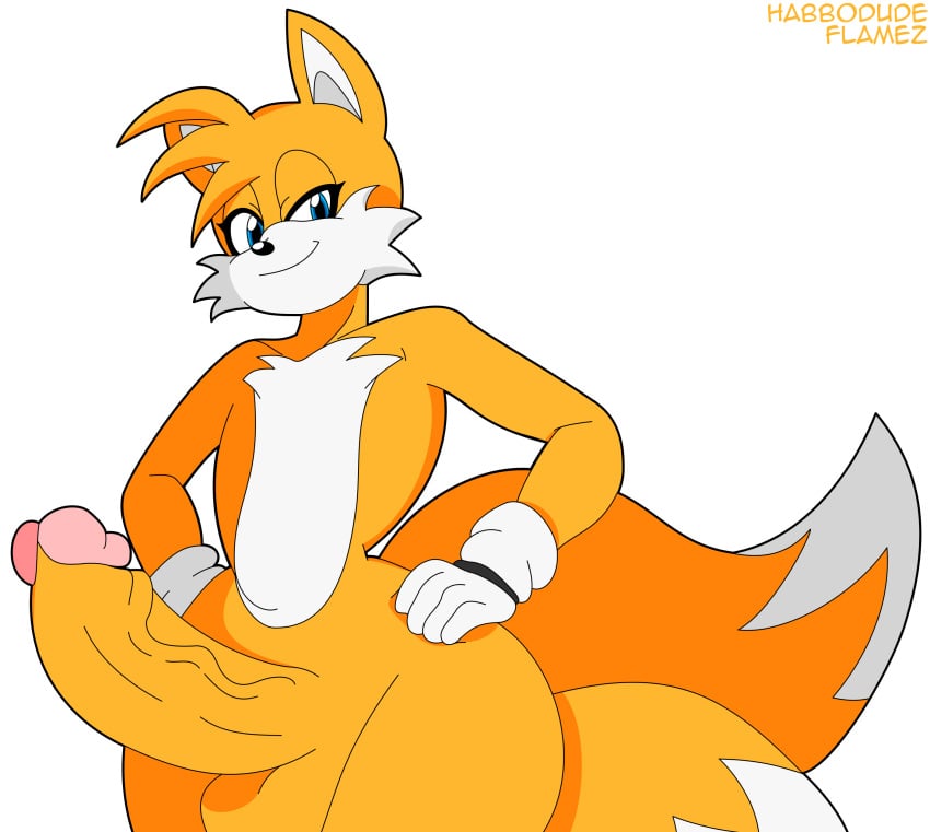 1boy absurd_res anthro balls big_penis fox furry genitals habbodude hi_res huge_cock looking_at_viewer male male_only penis sega solo sonic_(series) sonic_the_hedgehog_(series) tails wide_hips