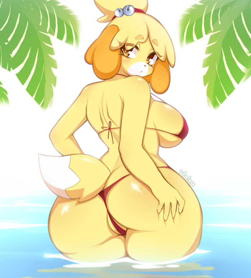 Isabelle (Animal Crossing) Rule 34 Image