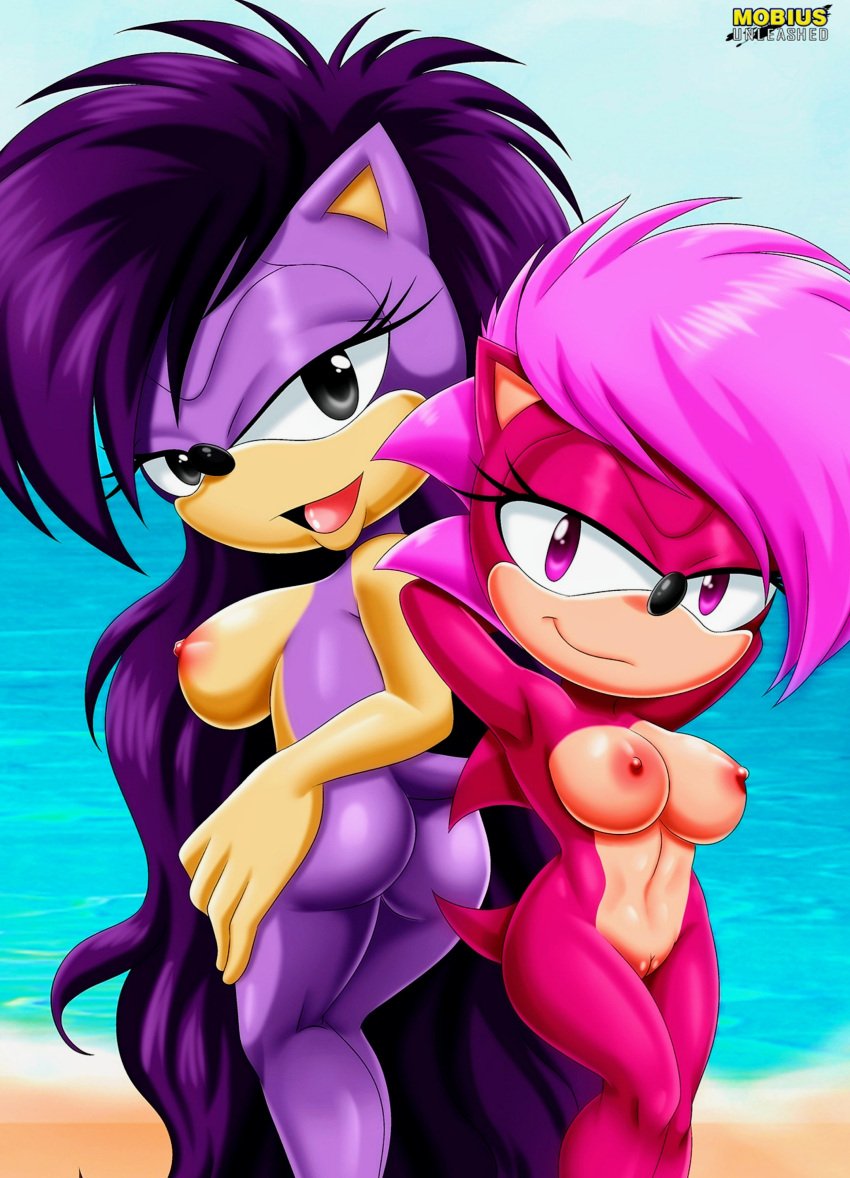 2girls anthro ass big_breasts breasts female female_only fully_nude hedgehog long_hair mature_female mobian_(species) mobius_unleashed mother_and_daughter multiple_girls nipples pink_fur pink_hair purple_eyes purple_fur purple_hair pussy queen_aleena repost rodent seductive_look seductive_smile short_hair smile sonia_the_hedgehog sonic_(series) sonic_the_hedgehog_(series) sonic_underground tail