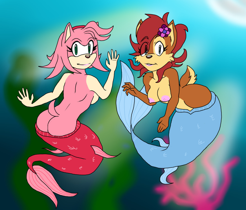 2015 2girls accessory alternate_species amy_rose anthro archie_comics big_breasts breasts brown_body brown_fur brown_hair chipmunk duo eulipotyphlan female fish_tail flower flower_in_hair fur green_eyes ground_squirrel hair hair_accessory hedgehog heroesheaven hi_res legless mammal marine merfolk mermaid_tail mermaidification nipples pink_body pink_hair plant rear_view rodent sally_acorn sciurid sega side_boob sonic_(series) sonic_the_hedgehog_(archie) sonic_the_hedgehog_(comics) sonic_the_hedgehog_(series) split_form translucent translucent_hair underwater water