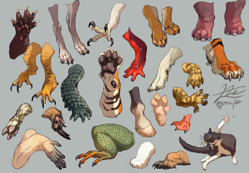 4_toes accipitrid accipitriform ambiguous_gender amphibian anatid anisodactyl anseriform anteater anus avian avian_feet bird canid canine canis claws common_hippopotamus crocodile crocodilian crocodylid domestic_cat duck eagle equid equine feet felid feline felis feral foot_focus gomalemo group haplorhine hippopotamid hooves horse lion lizard mammal monkey newt pantherine pilosan primate reptile salamander scalie suid suina talons tamandua tiger toes wolf x_anus xenarthran