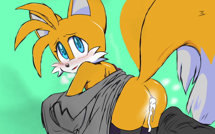 1boy anthro ass back_view blush body_fur cum_in_pussy cum_inside cute fluffy_tail furry looking_at_viewer male male_only no_visible_genitalia ochre_fur raised_tail solo tails toony