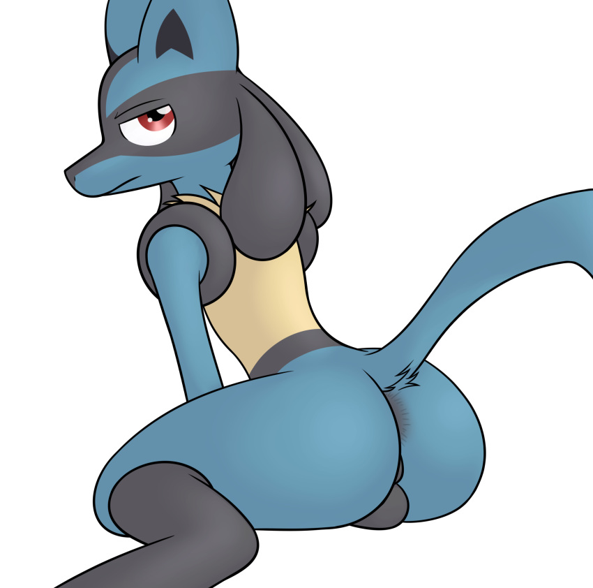 alpha_channel anthro ass balls generation_4_pokemon genitals hi_res looking_back lucario male nintendo perineum pokemon pokemon_(species) presenting presenting_hindquarters raised_tail simple_background solo starry5643 tail transparent_background