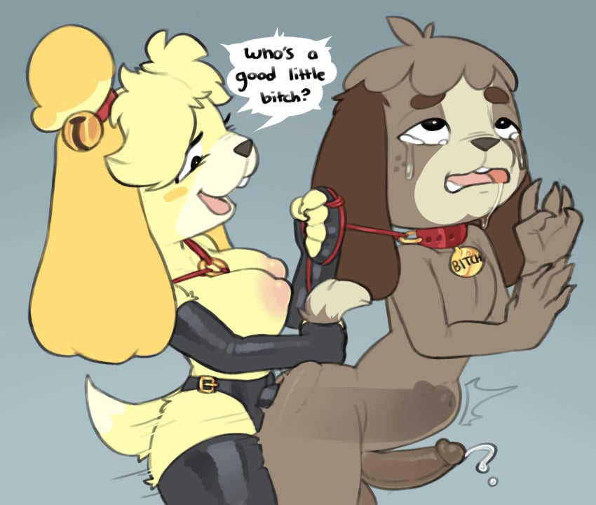 1boy 1girl 1girls anal anal_orgasm anal_sex animal_crossing anthro bell bodily_fluids breasts brother_and_sister canid canine canis clothing coffeetoffee collar crying crying_with_eyes_open cum dialogue digby_(animal_crossing) dildo domestic_dog dominant dominant_female drooling duo ejaculation_while_penetrated erect_while_penetrated female female/male female_penetrating female_penetrating_male femdom genital_fluids genitals gloves handwear hi_res incest isabelle_(animal_crossing) latex legwear male male/female male_penetrated mammal nintendo nipples object_in_ass orgasm pegging penetration penis saliva sex sex_toy sex_toy_in_ass sex_toy_insertion sex_toy_penetration speech_bubble stomach_bulge strap-on strapon tag tail tail_grab tears text thigh_highs toying_partner x-ray_vision