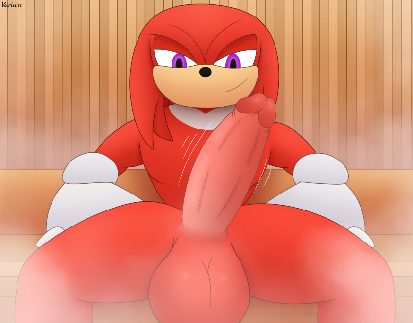 balls big_balls big_penis clothing digital_media_(artwork) echidna erection eulipotyphlan genitals gloves hair handwear hi_res huge_cock humanoid_genitalia humanoid_penis knuckles_the_echidna looking_at_viewer male male_only mammal monotreme penis presenting sauna sega simple_background sitting smile smirk solo sonic_(series) sonic_the_hedgehog_(series) steam varium