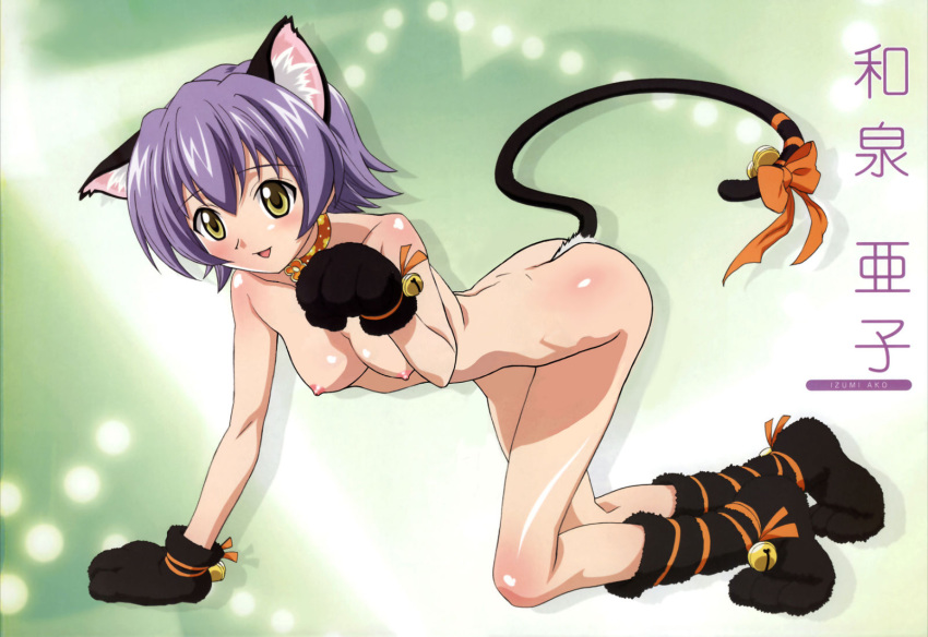 amber_eyes ass bell blush bow breasts collar gloves high_resolution izumi_ako mahou_sensei_negima mahou_sensei_negima! nipples nude nude_filter ohkaji_hiroyuki ookaji_hiroyuki photoshop purple_hair ribbon short_hair small_breasts yellow_eyes