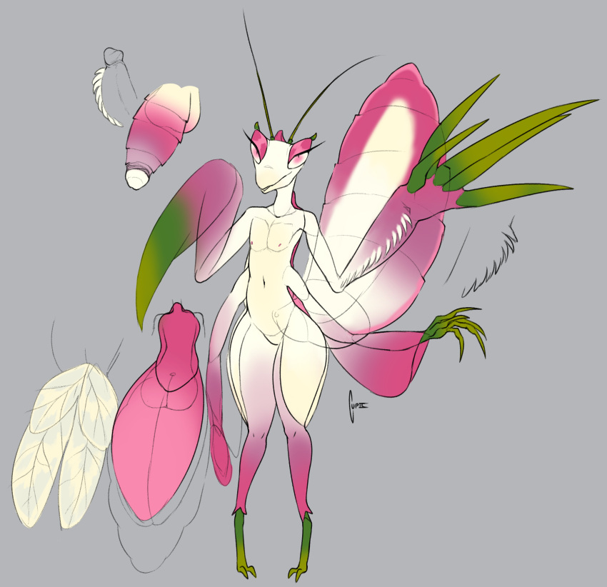 absurd_res antennae_(anatomy) anthro arthropod claws cupic flower genitals hi_res insects lotus_(flower) male mantis multi_arm multi_limb penis plant solo wings