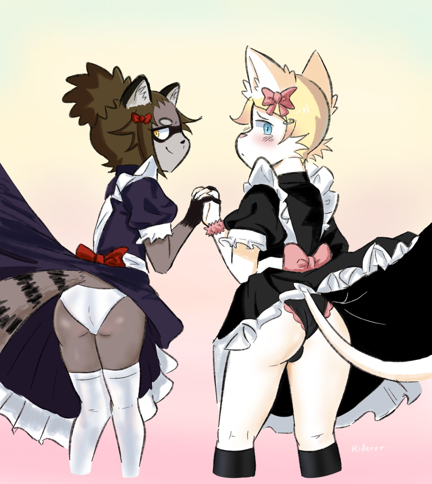 argyle_(riderrr) ass blue_eyes blush blush_lines catboy furry furry_only handholding maid maid_uniform raccoon riderrr riley_(riderrr) tights underwear white_fur yellow_eyes