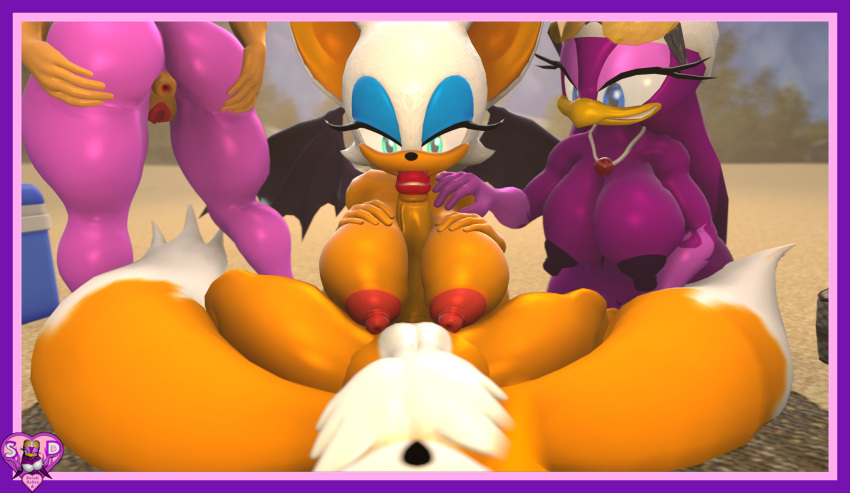 3d 3d_model amy_rose beach big_penis blowjob foursome male_pov mobian mobian_(species) mobian_bat paizuri pov pov_eye_contact rouge_the_bat sarahdellen sega sfm sonic_(series) sonic_adventure_2 sonic_the_hedgehog_(series) source_filmmaker tails tails_the_fox titjob wave_the_swallow