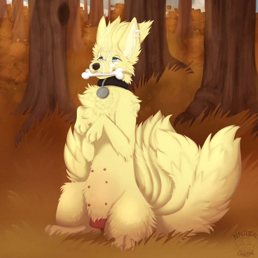 Ninetales (Nintendo) Rule 34 Image