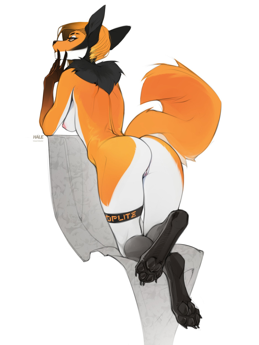 absurd_res anthro ass breasts canid canine claws crossed_legs female fur genitals hale. hi_res mammal neck_tuft nipples orange_body orange_fur pawpads pussy rear_view simple_background solo tuft white_background