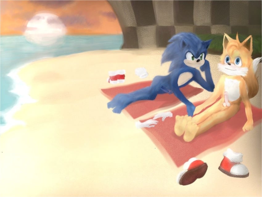 2boys barefoot beach movie_sonic naked no_clothes no_clothing no_shoes nude_beach nude_edit nude_filter paramount_pictures penis sega shoes sonic_(series) sonic_the_hedgehog sonic_the_hedgehog_(film) sonic_the_hedgehog_(series) sonic_the_hedgehog_2_(film) sunset tails