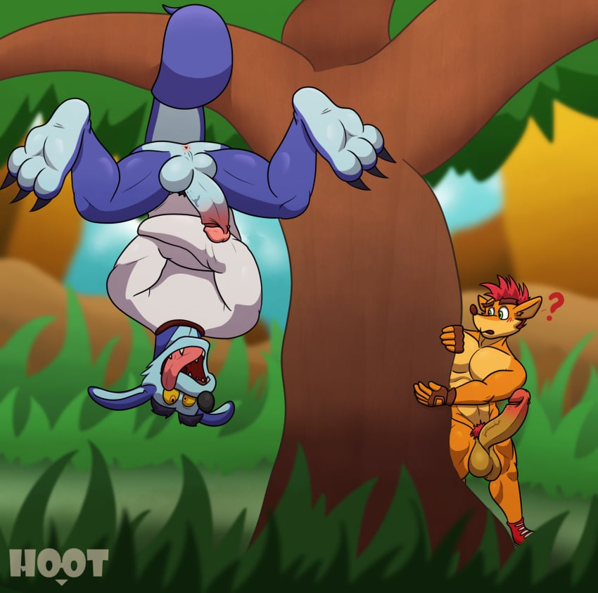 2boys anthro anus artist_logo artist_name backsack balls ballsack bandicoot bara blue_fur body_fur bottomless_male crash_(series) crash_bandicoot dg254 erection foreskin foreskin_folds gay green_eyes hanging_from_branch hoot_(owl_logo) humanoid_genitalia humanoid_penis inner_foreskin intact male male/male male_nipples male_only male_pubic_hair masculine muscles muscular_anthro muscular_male nude_male orange_fur penis perineum red_hair retracted_foreskin ripper_roo scrotum straitjacket tail testicles tongue tongue_out uncut veiny veiny_penis voyeur voyeurism yellow_eyes yellow_sclera