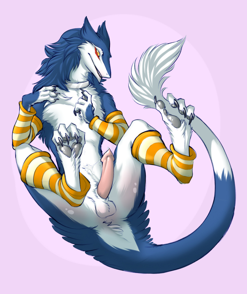 1boy arm_warmers ass balls blush claws collar girly hair kissaartist leg_warmers looking_at_viewer male male_only murrkus nude penis sergal solo spottyjaguar spread_legs spreading striped_socks tail