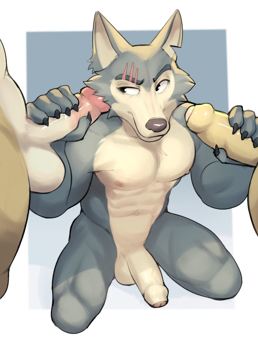 2024 anthro areola balls beastars canid canine canis erection fur genitals grey_body grey_fur group handjob hi_res humanoid_genitalia humanoid_penis jrjresq legoshi_(beastars) male male/male mammal multicolored_body multicolored_fur muscular muscular_anthro muscular_male penile penis sex trio two_tone_body two_tone_fur wolf