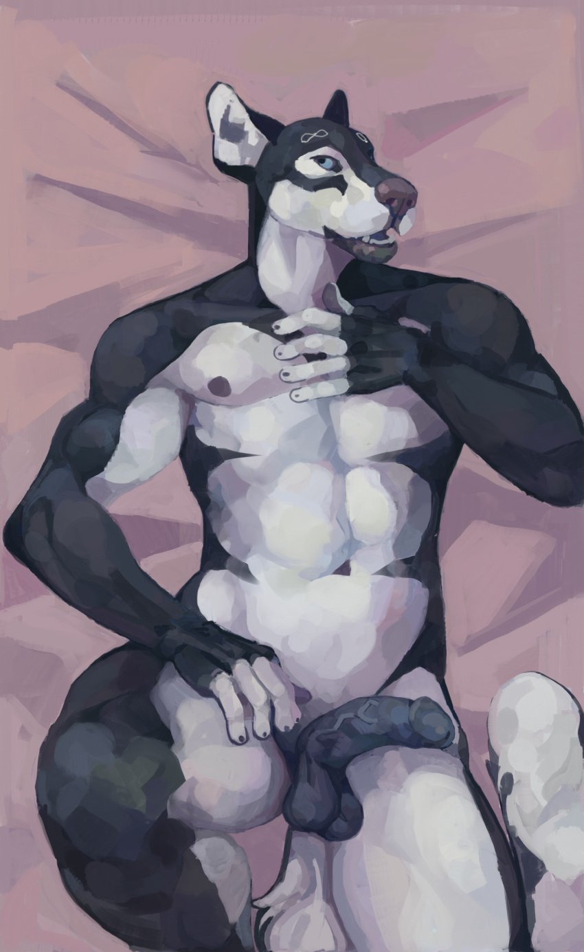 absurd_res alaskan_malamute anthro bed bedroom_eyes belly belly_markings blue_eyes canid canine canis casual_erection casual_nudity chest_markings domestic_dog erection furniture genitals gloves_(marking) hairless_balls hand_on_chest hand_on_leg hand_on_thigh hi_res humanoid_genitalia humanoid_penis infinite infinity_symbol leg_markings male male_only mammal markings narrowed_eyes navel neck_markings nemera nipples nordic_sled_dog nude open_mouth penis seductive shaved_fur short_fur smooth_balls solo spitz symbol tail teeth_showing thigh_markings thighs_up tongue wolf wolfywetfurr young_adult