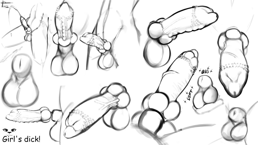 animal_genitalia animal_penis anthro balls canine_genitalia canine_penis digital_media_(artwork) felid feline ferrn fur genitals gynomorph hi_res intersex mammal nude pantherine penis simple_background solo teenager toshi_(ferrn) young