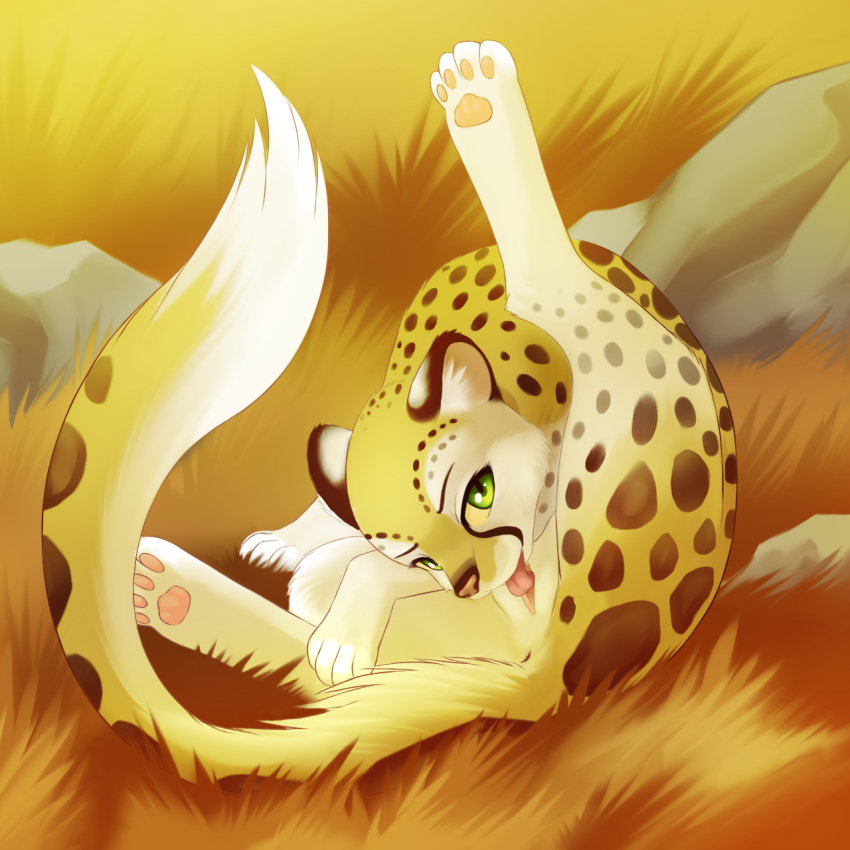 cheetah darkmirage feline hotwert licking mia pussy tongue