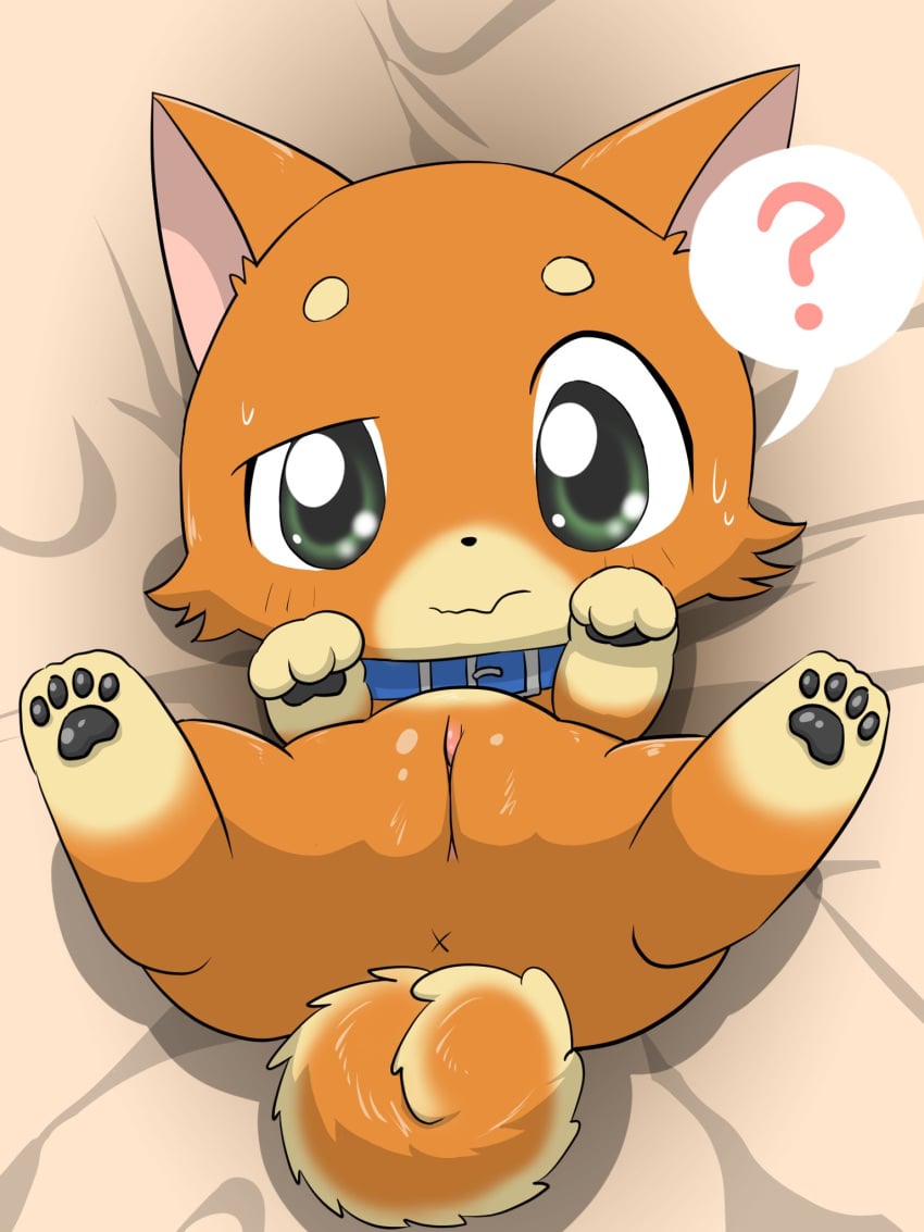 ? anus female feral fur genitals hi_res ponta_(pukupuku_tennen_kairanban) pussy solo tail tatwuyan