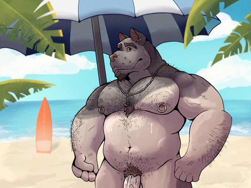 2022 anthro arm_hair beach beach_umbrella beard belly biceps body_hair canid canine chest_hair chest_tuft cloudscape ear_piercing facial_hair fist flaccid forearm_hair forearms genitals goatee hairy happy_trail hi_res jewelry looking_at_viewer male mammal manly mature_male musclegut muscular navel necklace nipple_piercing nipples nude nude_beach outside pecs penis pibbnchips piercing pubes public public_nudity rooinks seaside shoulder_hair sky slightly_chubby solo standing stubble surfboard triceps tuft vein veiny_penis