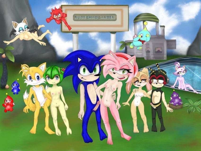 4boys 5girls amy_rose banner blaze_the_cat chao_(sonic) chao_garden chaos_(sonic) charmy_bee cheese_the_chao cosmo_the_seedrian cream_the_rabbit female group group_sex knuckles_the_echidna male multiple_boys multiple_girls nude nude_anthro nude_cover nude_edit nude_female nude_filter nude_male penis polo rouge_the_bat sonic_(series) sonic_the_hedgehog tails tails_the_fox