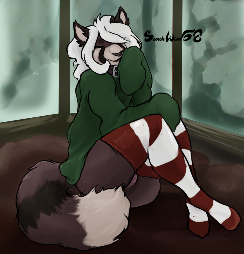 absurd_res ailurid anthro bear clothing cold collar cozy female giant_panda hair hi_res legwear mammal red_panda scorchwind58 smile solo sweater thigh_highs topwear white_hair window winter