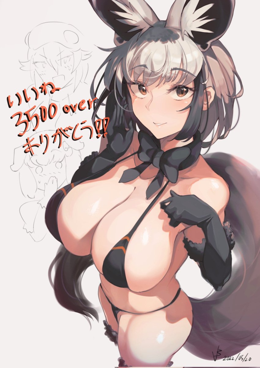 1girls animal_ear animal_ears animal_tail armwear bare_belly bare_shoulder bare_shoulders bare_stomach bat-eared_fox_(kemono_friends) big_breasts bikini black_armwear black_bikini black_elbow_gloves breasts brown_eye brown_eyes brown_eyes_female ears elbow_gloves eyebrows_visible_through_hair female female_humanoid female_only fox_ear fox_ears fox_girl fox_humanoid fox_tail foxgirl huge_breast humanoid humanoid_hands iparuputsua kemono_friends large_breasts legwear massive_breasts pointy_chin simple_background tail thick_thighs thighs woman